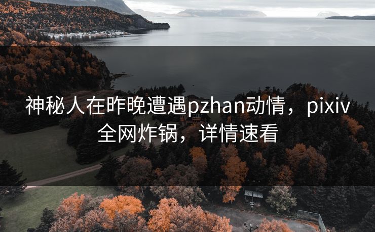 神秘人在昨晚遭遇pzhan动情，pixiv全网炸锅，详情速看