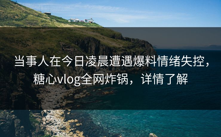 当事人在今日凌晨遭遇爆料情绪失控，糖心vlog全网炸锅，详情了解